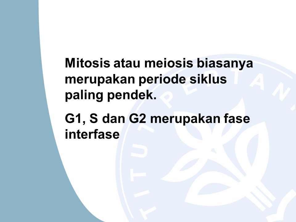 Mitosis atau meiosis biasanya merupakan periode siklus paling pendek.