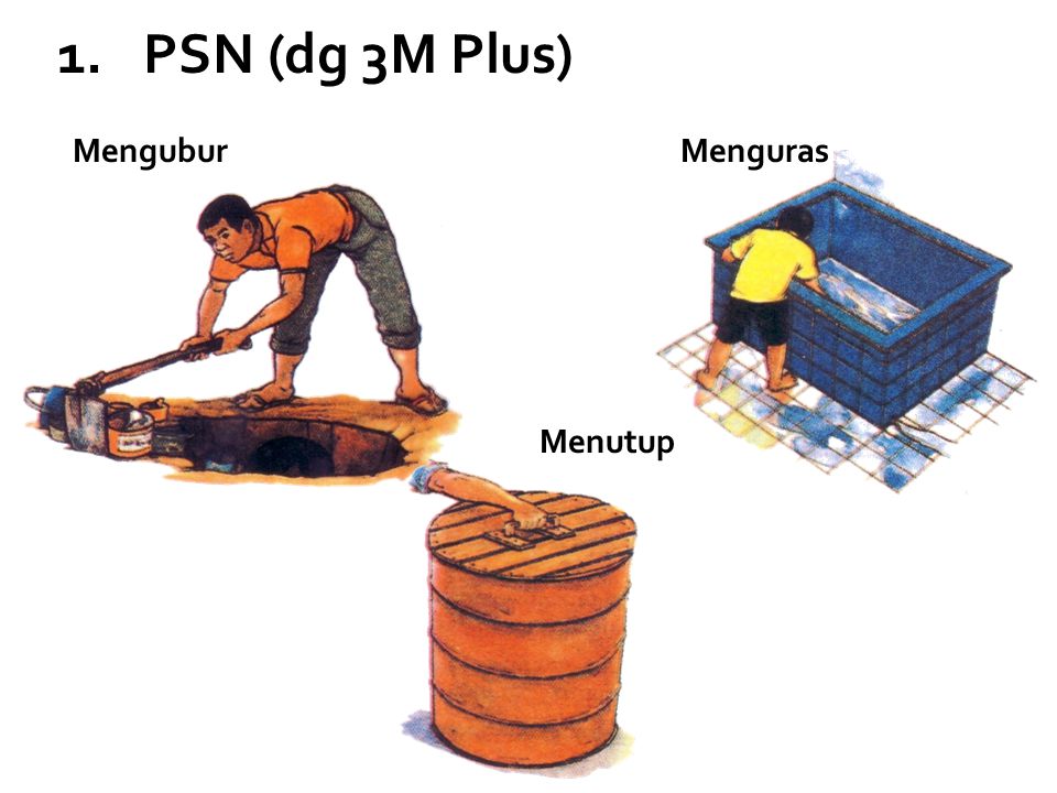 PSN (dg 3M Plus) Mengubur Menguras Menutup