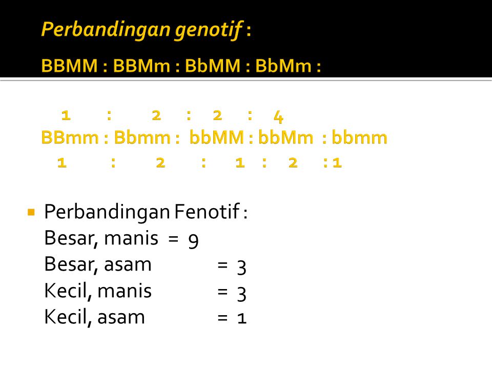 Perbandingan genotif : BBMM : BBMm : BbMM : BbMm : 1. :. 2 : 2 : 4