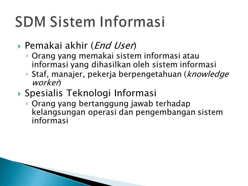 SDM Sistem Informasi Pemakai akhir (End User)