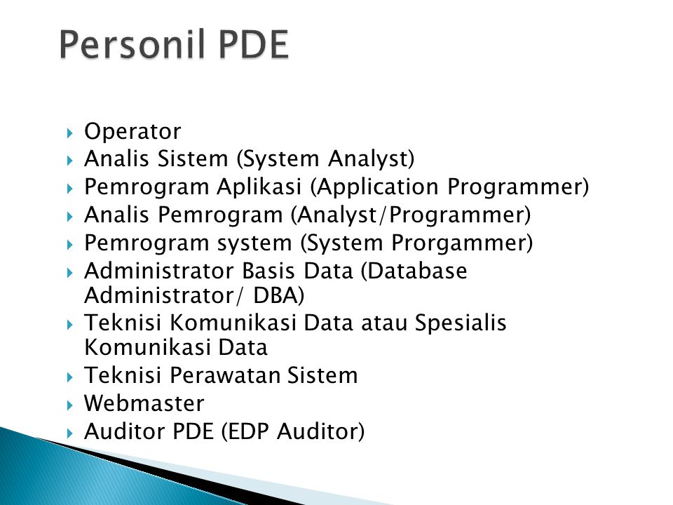 Personil PDE Operator Analis Sistem (System Analyst)