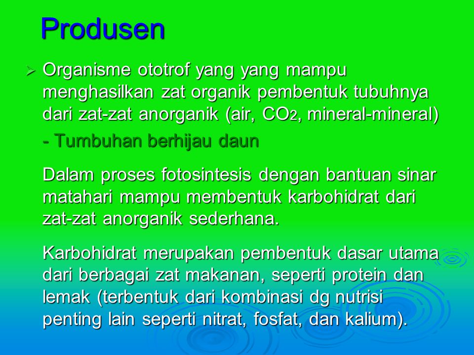 Produsen Organisme ototrof yang yang mampu menghasilkan zat organik pembentuk tubuhnya dari zat-zat anorganik (air, CO2, mineral-mineral)