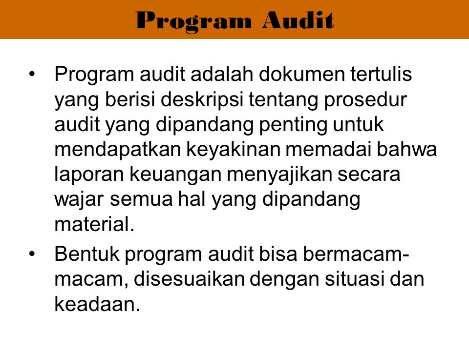 Program Audit