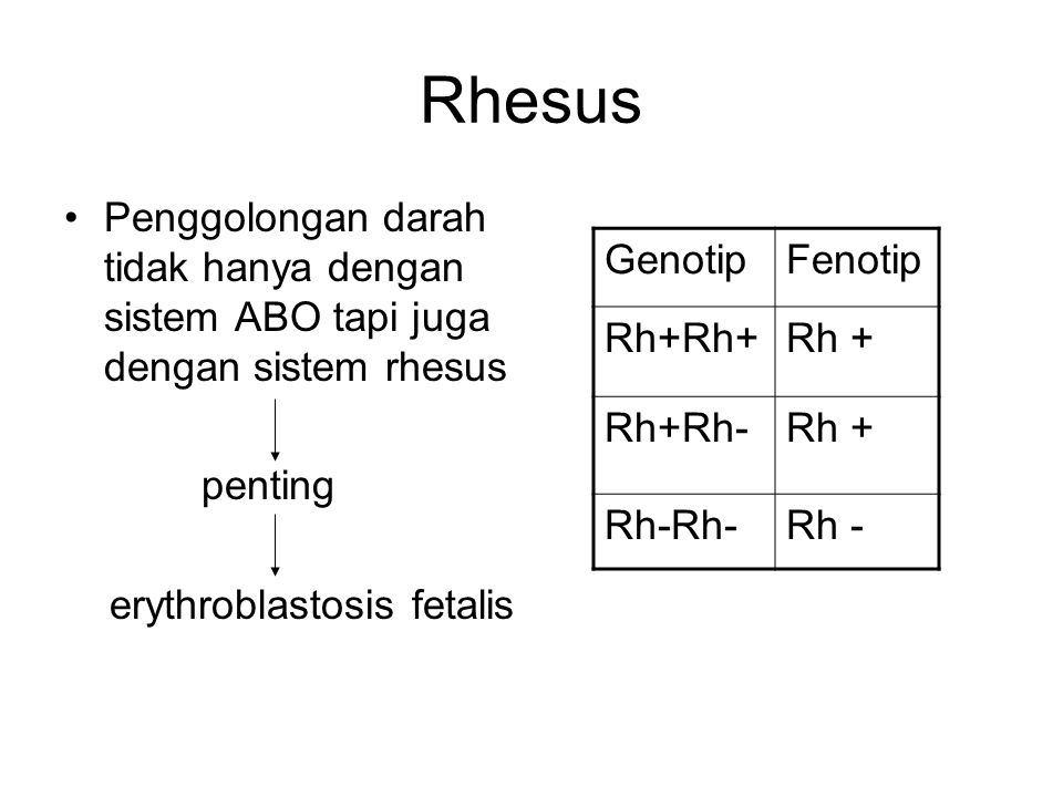 Rhesus Penggolongan darah tidak hanya dengan sistem ABO tapi juga dengan sistem rhesus. penting. erythroblastosis fetalis.