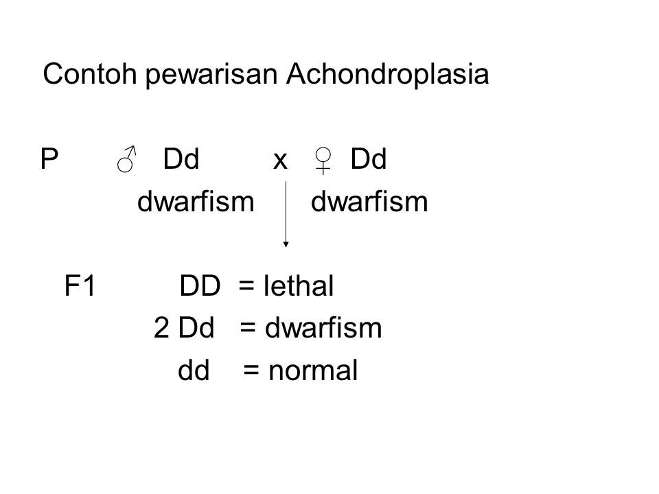 Contoh pewarisan Achondroplasia
