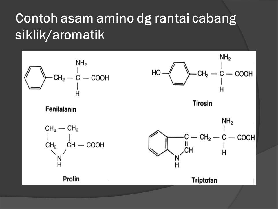 Contoh asam amino dg rantai cabang siklik/aromatik