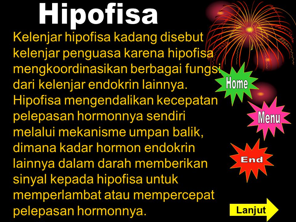 Hipofisa