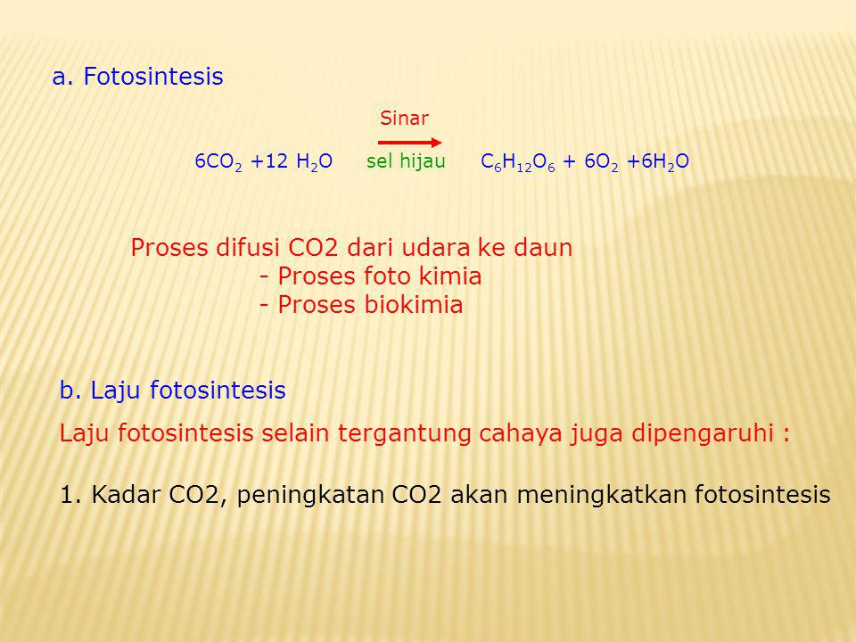 Proses difusi CO2 dari udara ke daun - Proses foto kimia