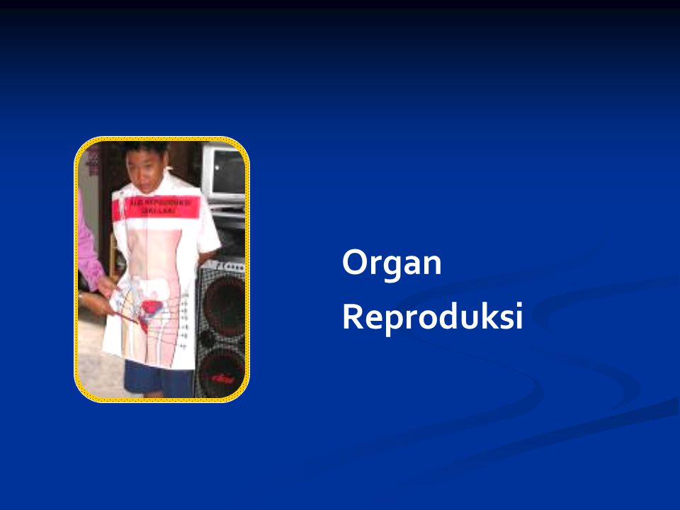 Organ Reproduksi