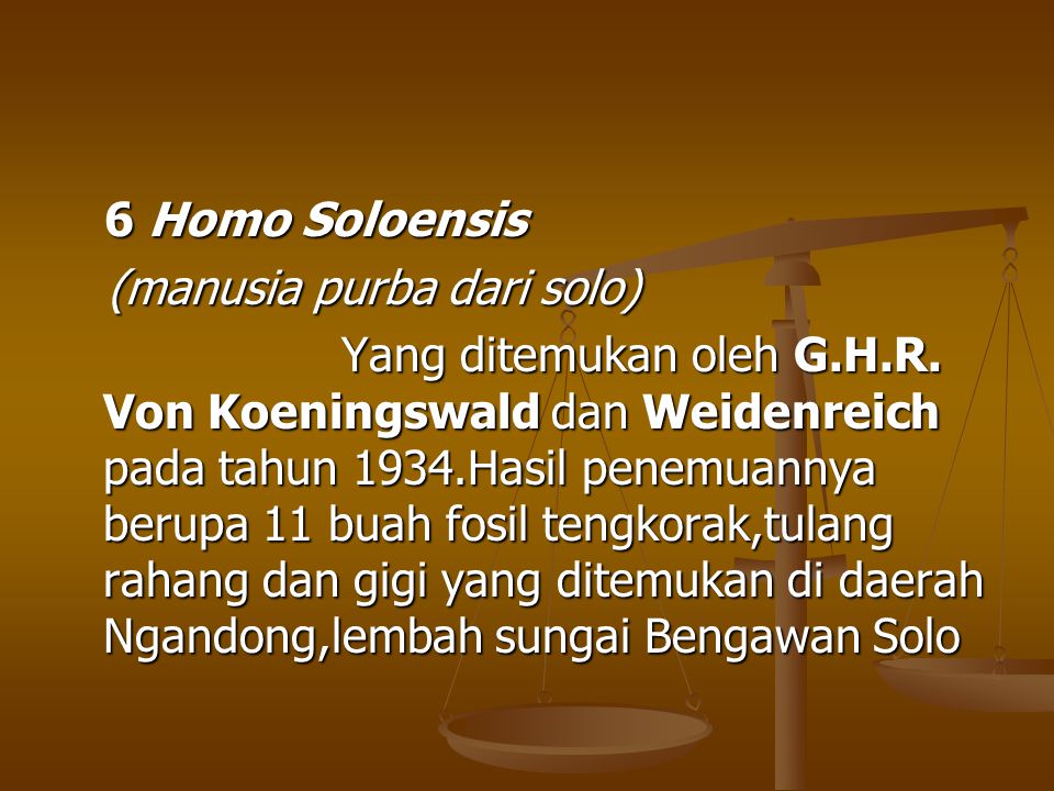 6 Homo Soloensis (manusia purba dari solo)