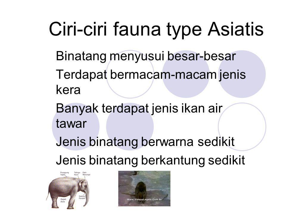 Ciri-ciri fauna type Asiatis