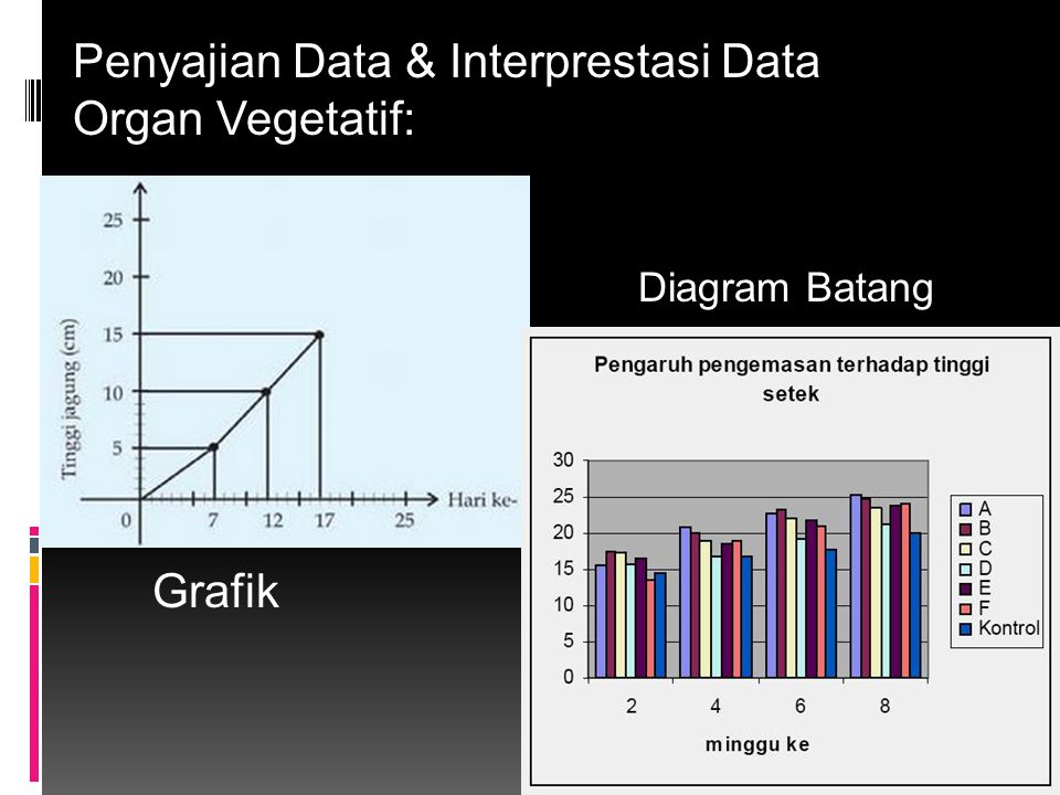 Penyajian Data & Interprestasi Data Organ Vegetatif:
