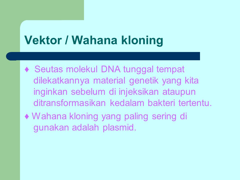Vektor / Wahana kloning