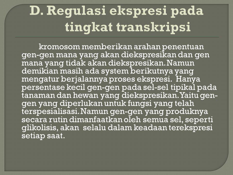 D. Regulasi ekspresi pada tingkat transkripsi