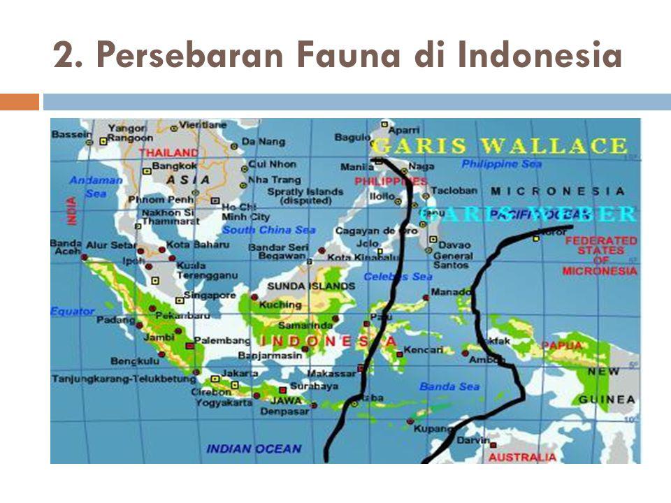 2. Persebaran Fauna di Indonesia