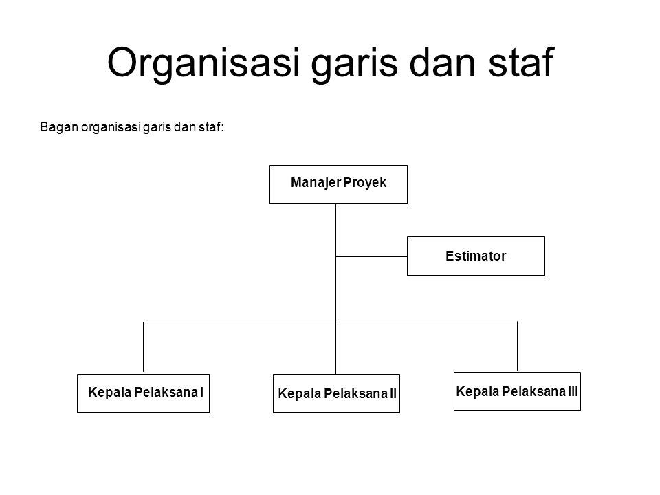 Organisasi garis dan staf