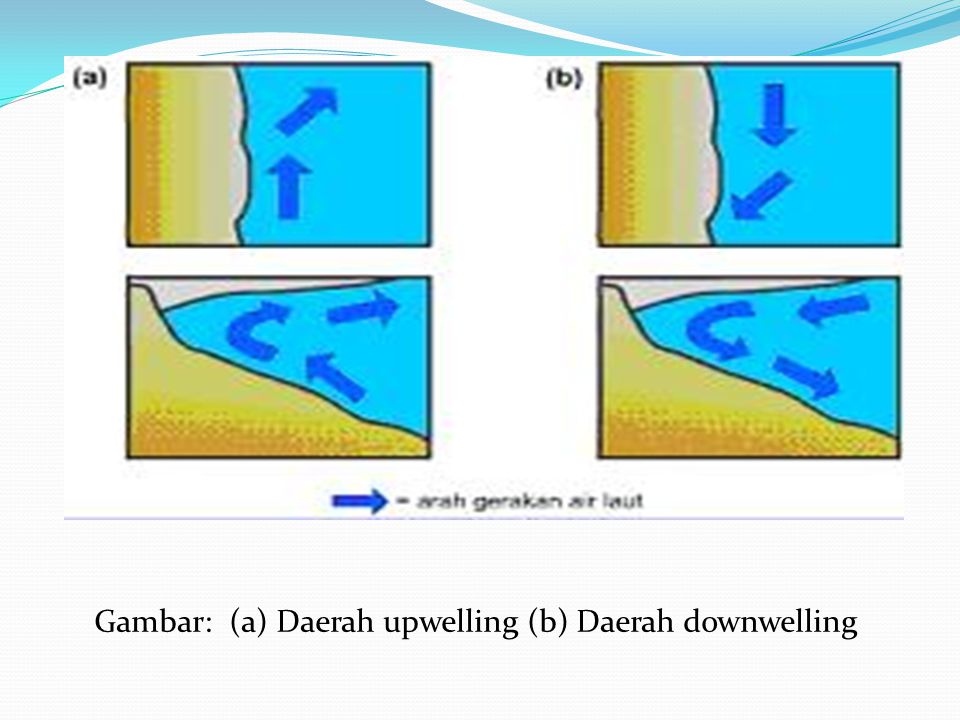 Gambar: (a) Daerah upwelling (b) Daerah downwelling