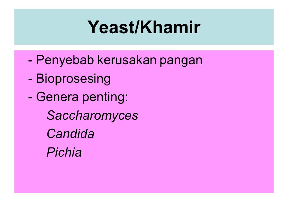 Yeast/Khamir - Penyebab kerusakan pangan - Bioprosesing