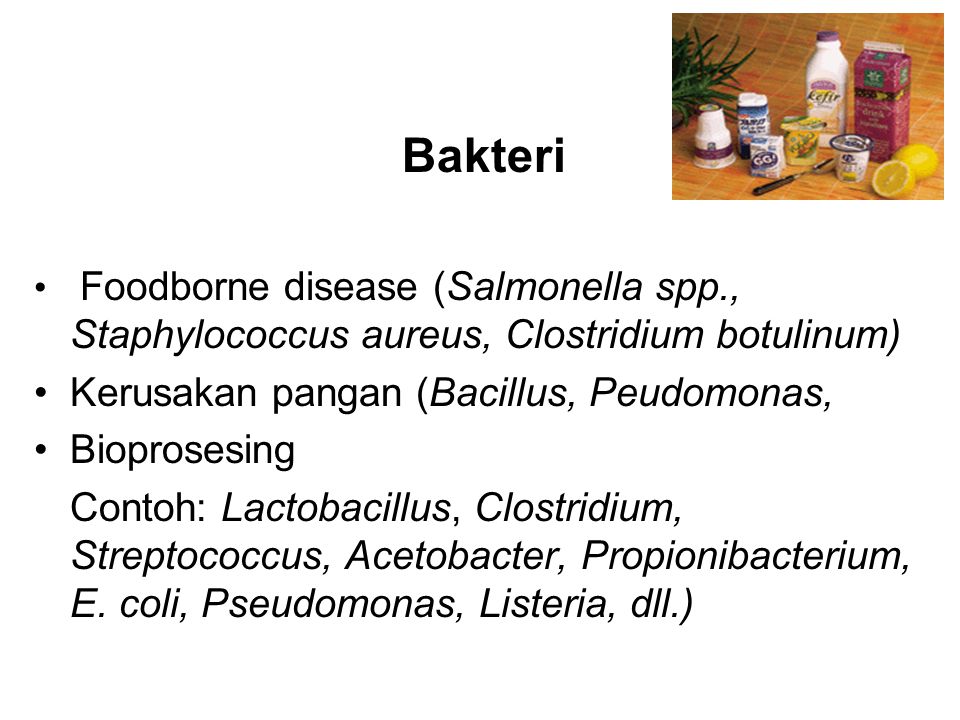 Bakteri Kerusakan pangan (Bacillus, Peudomonas, Bioprosesing