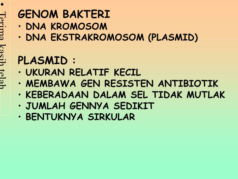 GENOM BAKTERI PLASMID : DNA KROMOSOM DNA EKSTRAKROMOSOM (PLASMID)