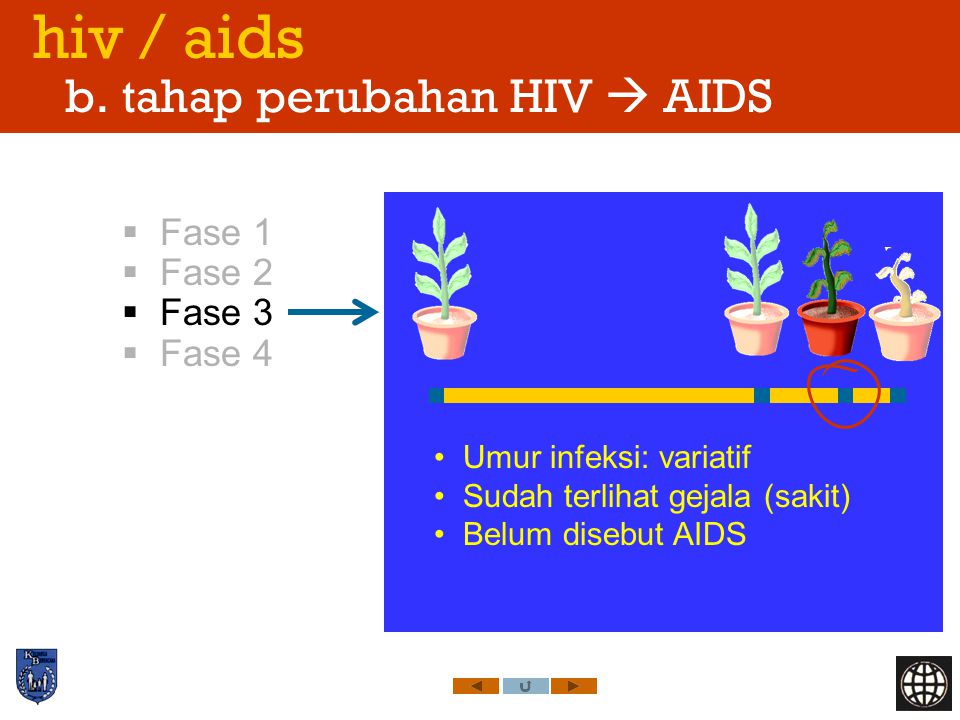 hiv / aids b. tahap perubahan HIV  AIDS