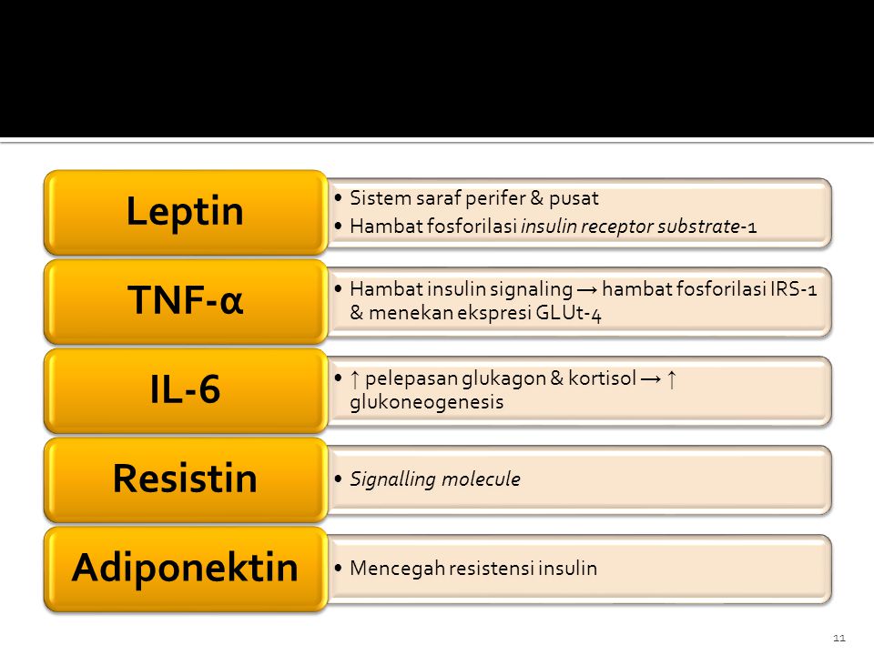 Leptin Sistem saraf perifer & pusat. Hambat fosforilasi insulin receptor substrate-1. TNF-α.