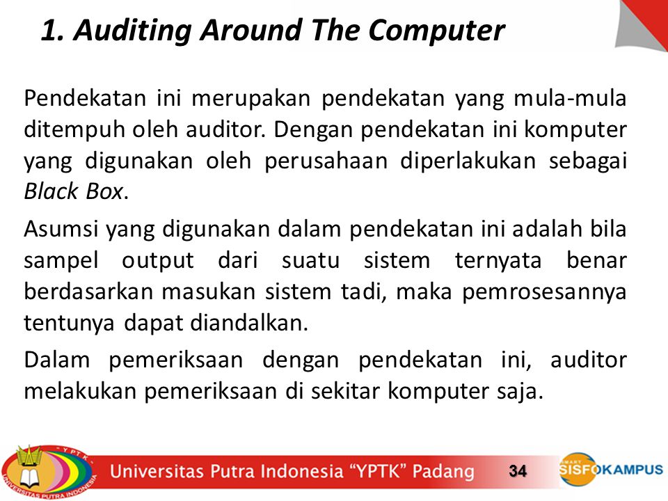 1. Auditing Around The Computer
