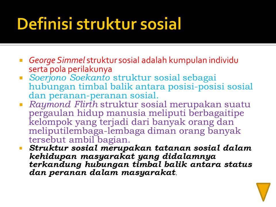 Definisi struktur sosial