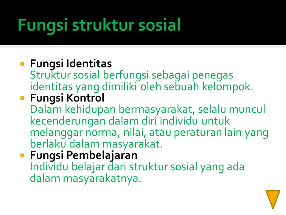 Fungsi struktur sosial