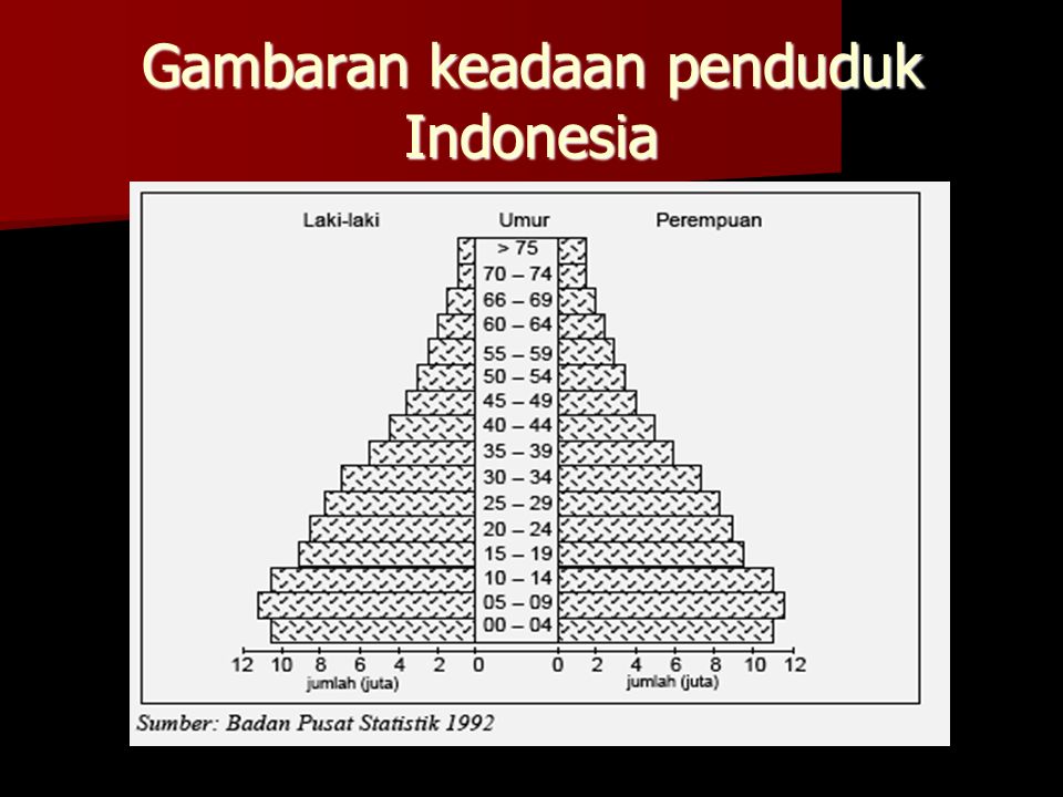 Gambaran keadaan penduduk Indonesia