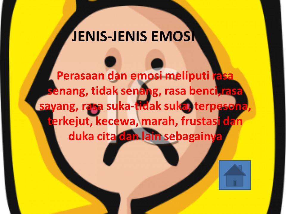 JENIS-JENIS EMOSI