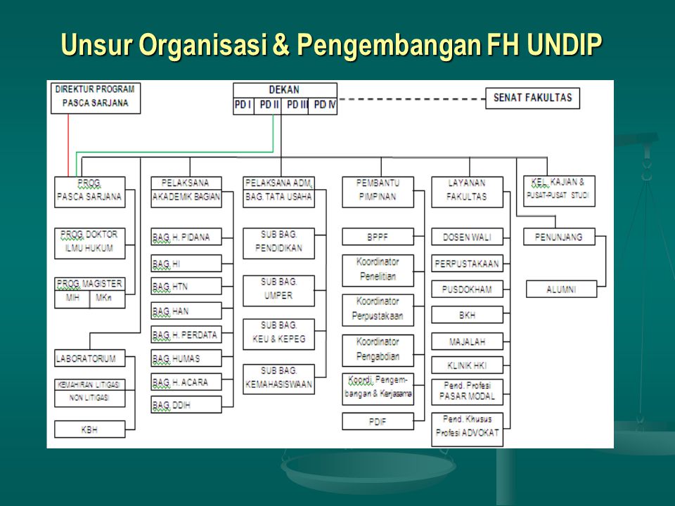 Unsur Organisasi & Pengembangan FH UNDIP