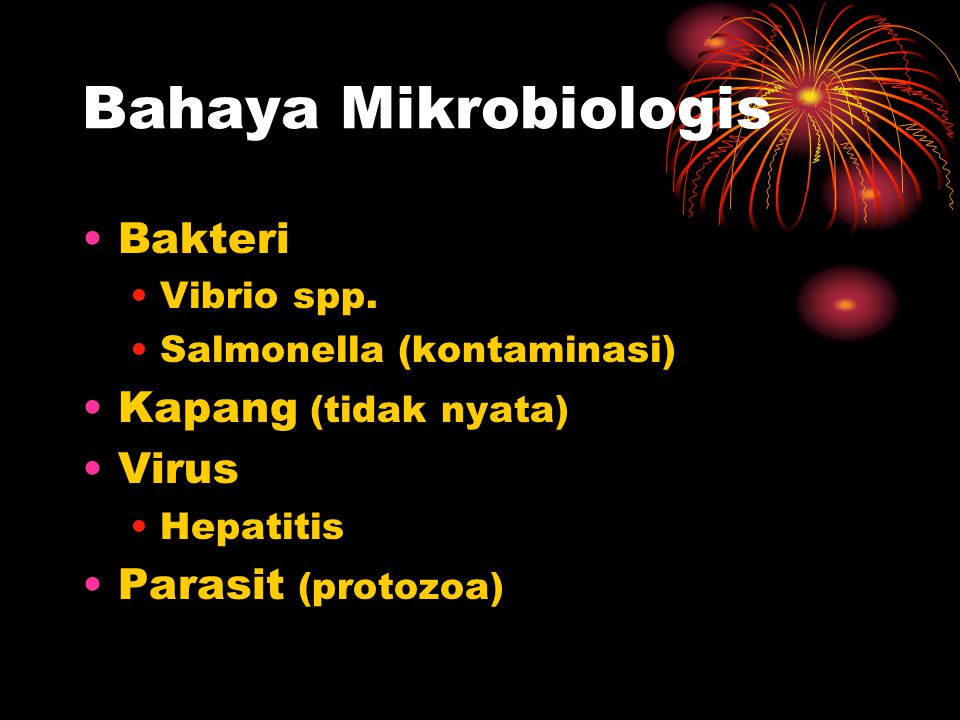 Bahaya Mikrobiologis Bakteri Kapang (tidak nyata) Virus
