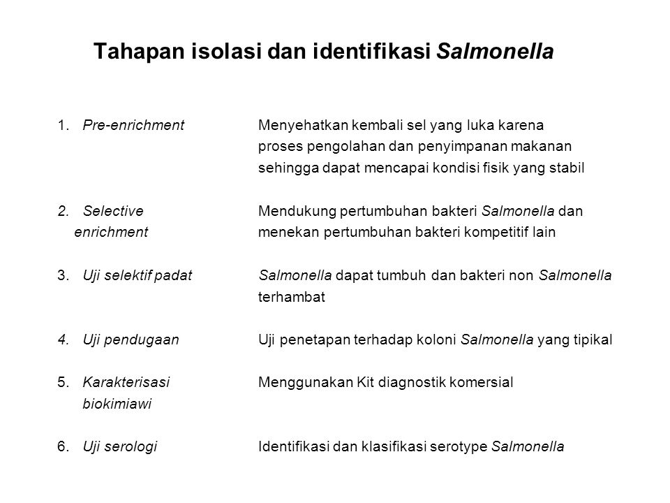 Tahapan isolasi dan identifikasi Salmonella