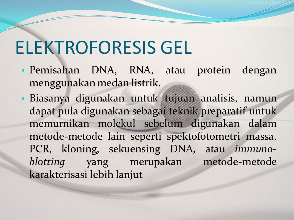 ELEKTROFORESIS GEL Pemisahan DNA, RNA, atau protein dengan menggunakan medan listrik.