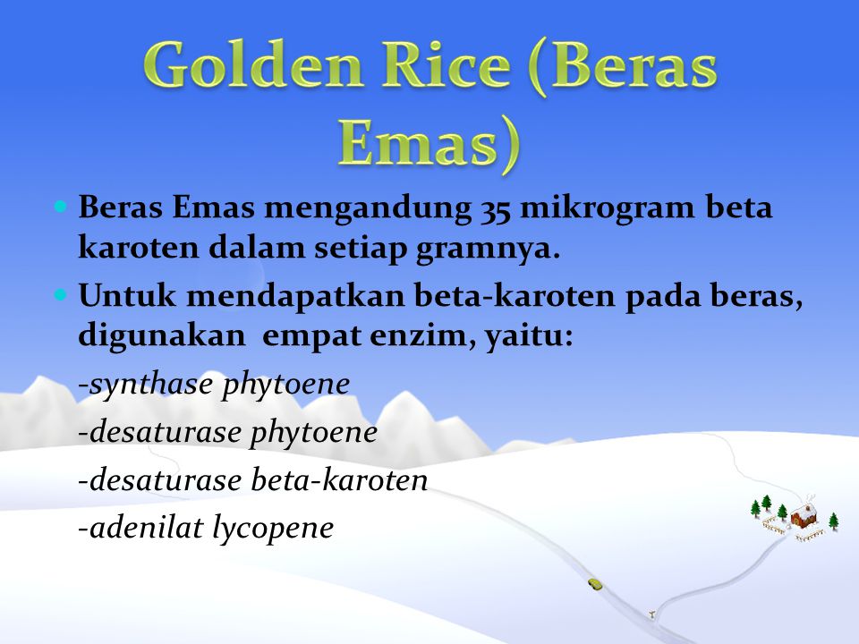 Golden Rice (Beras Emas)