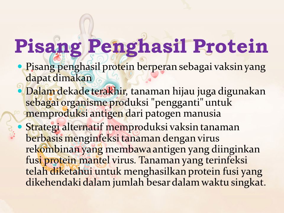 Pisang Penghasil Protein