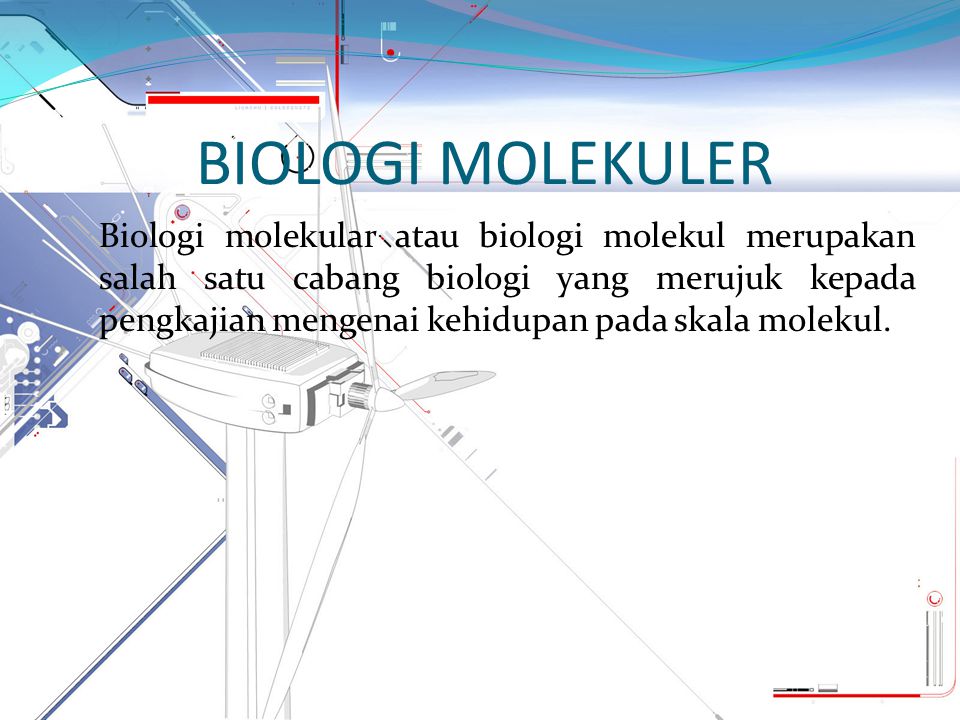 BIOLOGI MOLEKULER