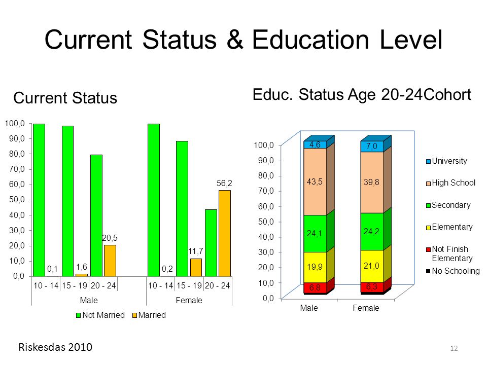 Current Status & Education Level