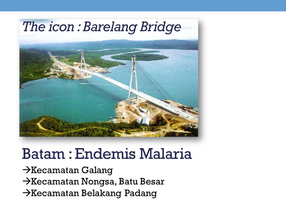 The icon : Barelang Bridge