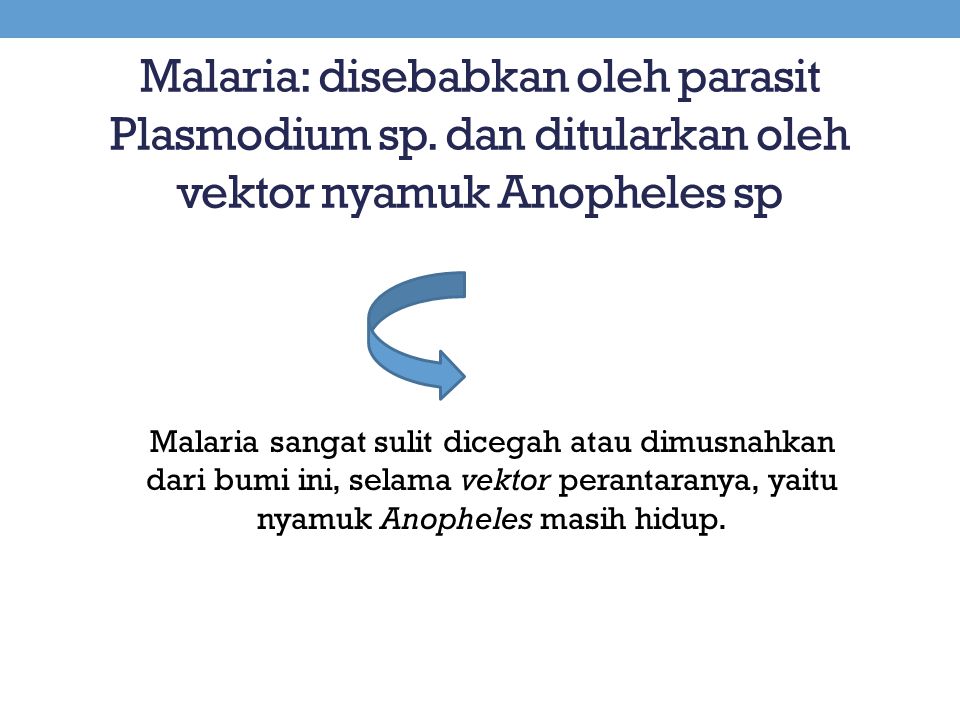 Malaria: disebabkan oleh parasit Plasmodium sp