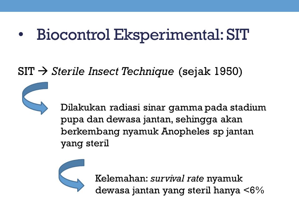 Biocontrol Eksperimental: SIT