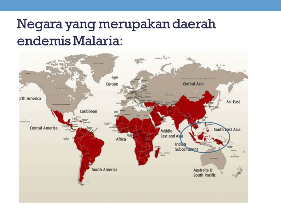 Negara yang merupakan daerah endemis Malaria: