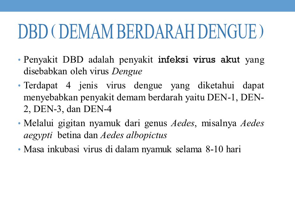 DBD ( Demam berdarah dengue )
