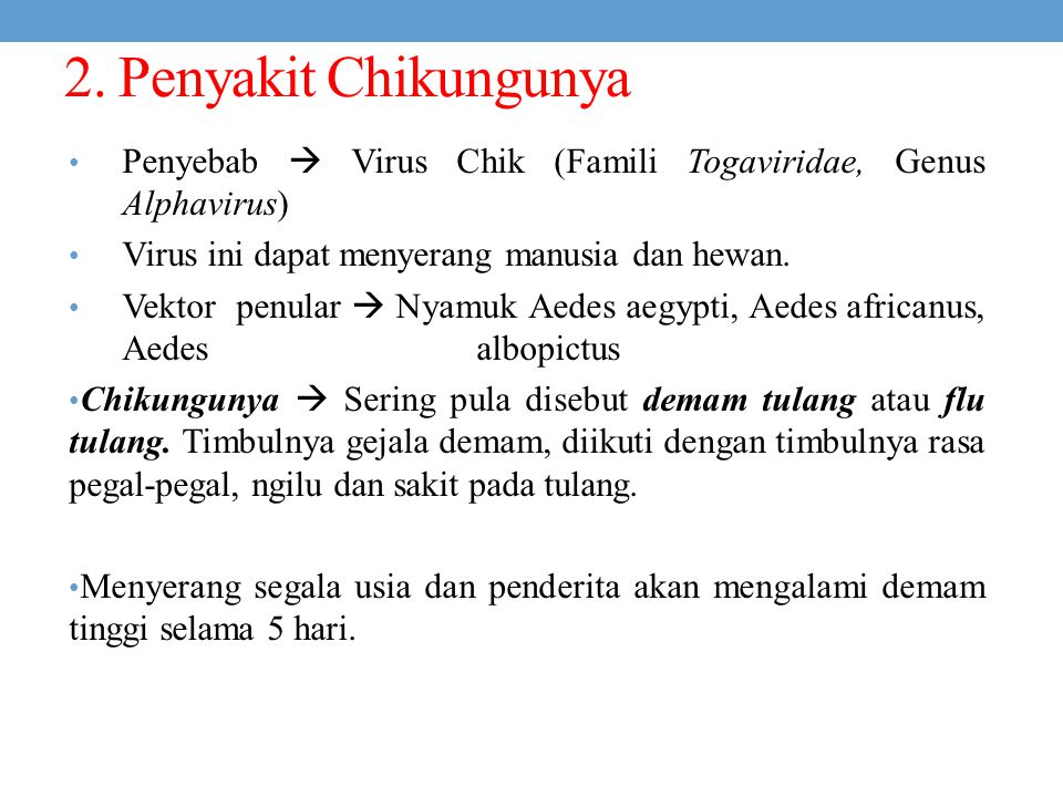 2. Penyakit Chikungunya Penyebab  Virus Chik (Famili Togaviridae, Genus Alphavirus) Virus ini dapat menyerang manusia dan hewan.