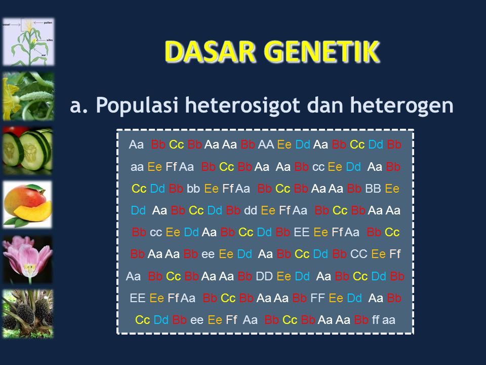 DASAR GENETIK a. Populasi heterosigot dan heterogen