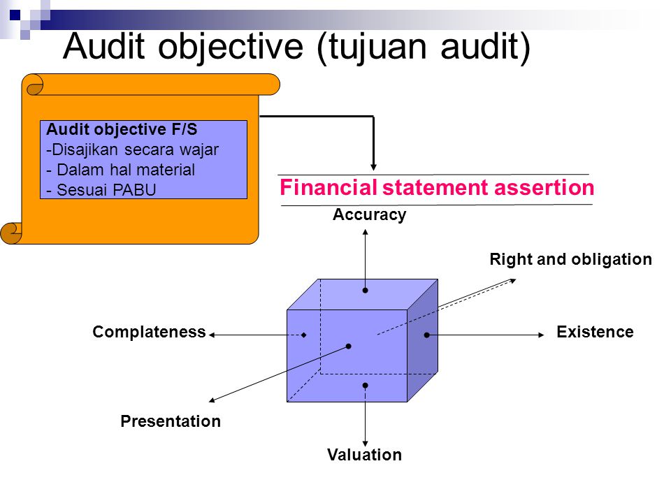 Audit objective (tujuan audit)