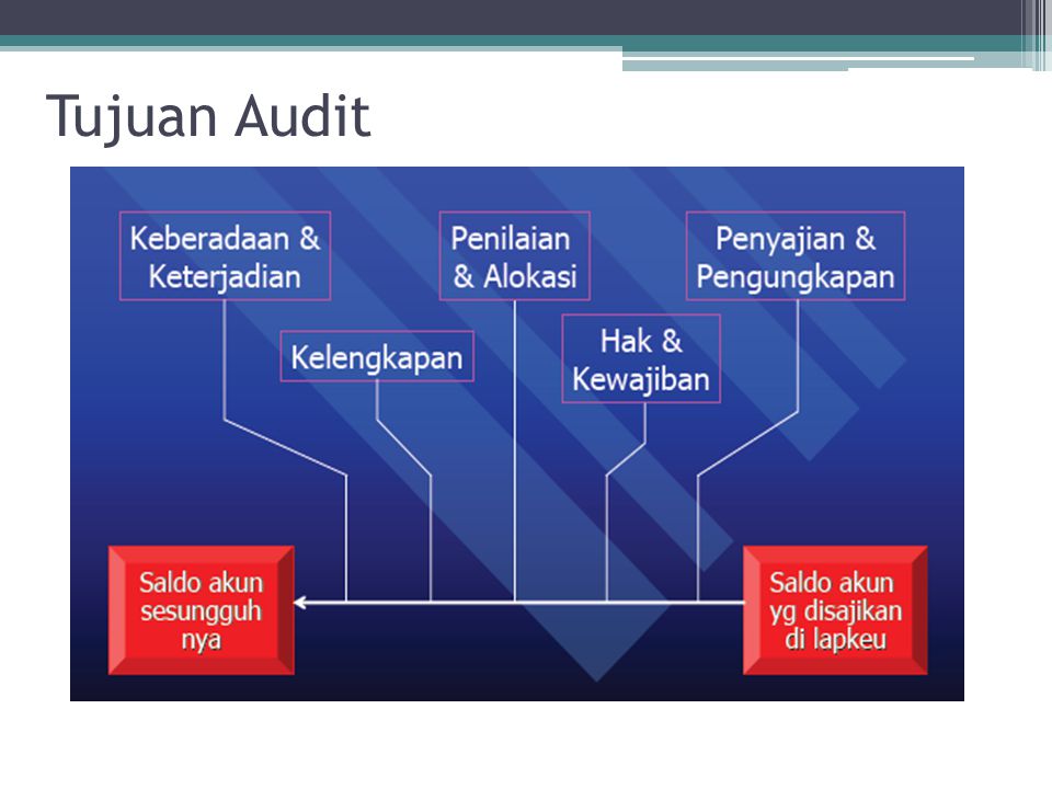 Tujuan Audit
