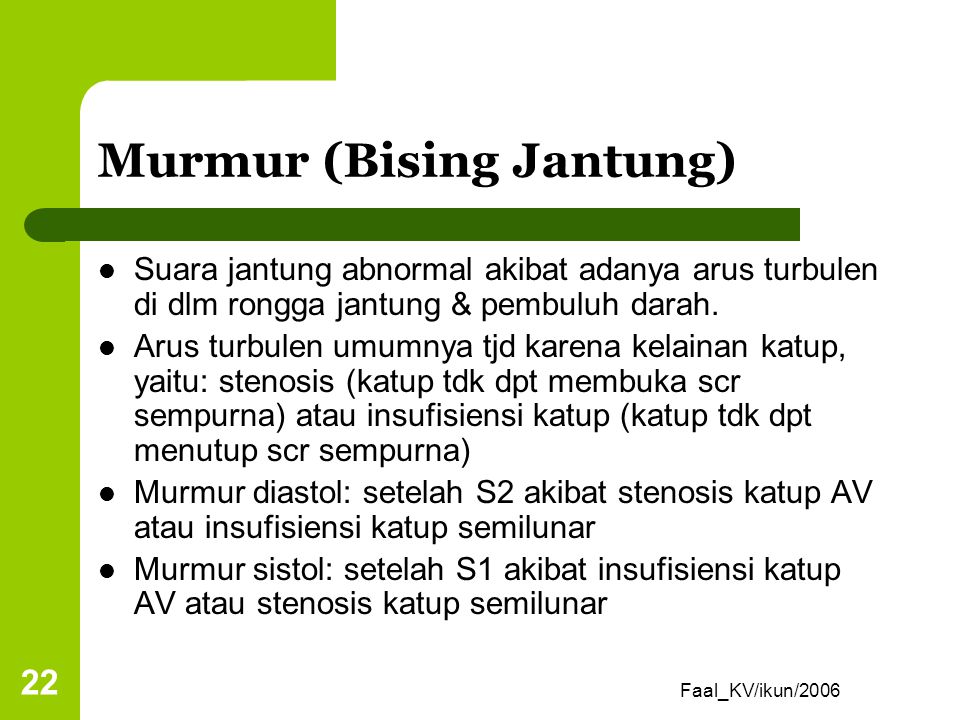 Murmur (Bising Jantung)
