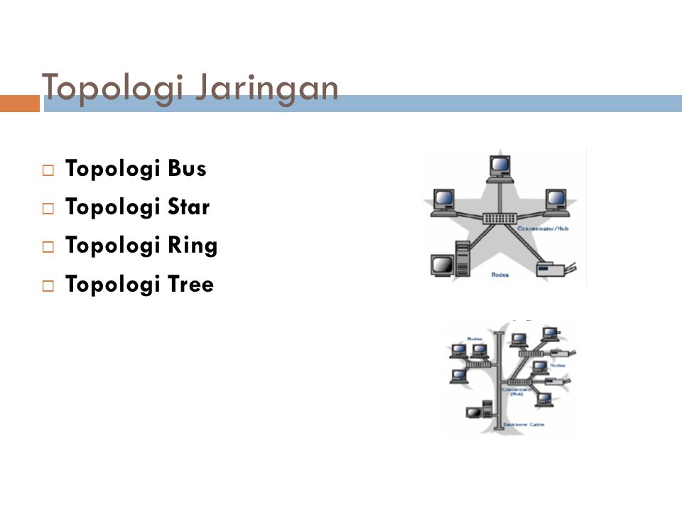 Topologi Jaringan Topologi Bus Topologi Star Topologi Ring